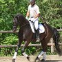 I Z C < > ; F a v o r i t e n ;